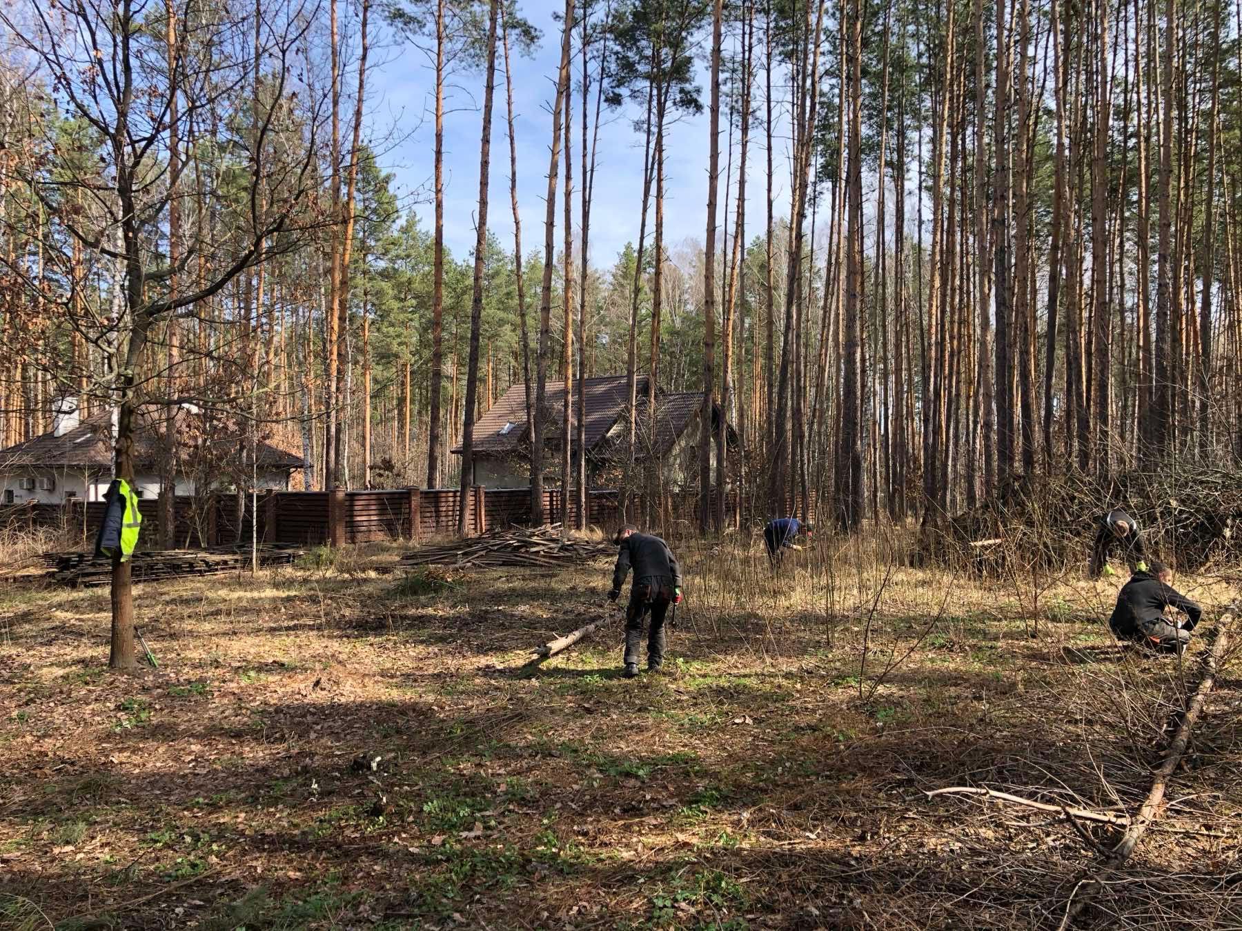 Земельна ділянка біля Київського моря, ліс. СТ МІРАЖ 24 сотки (12+12)