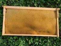 Бджолинні соти рамка 300 мм. Суш, рамки.