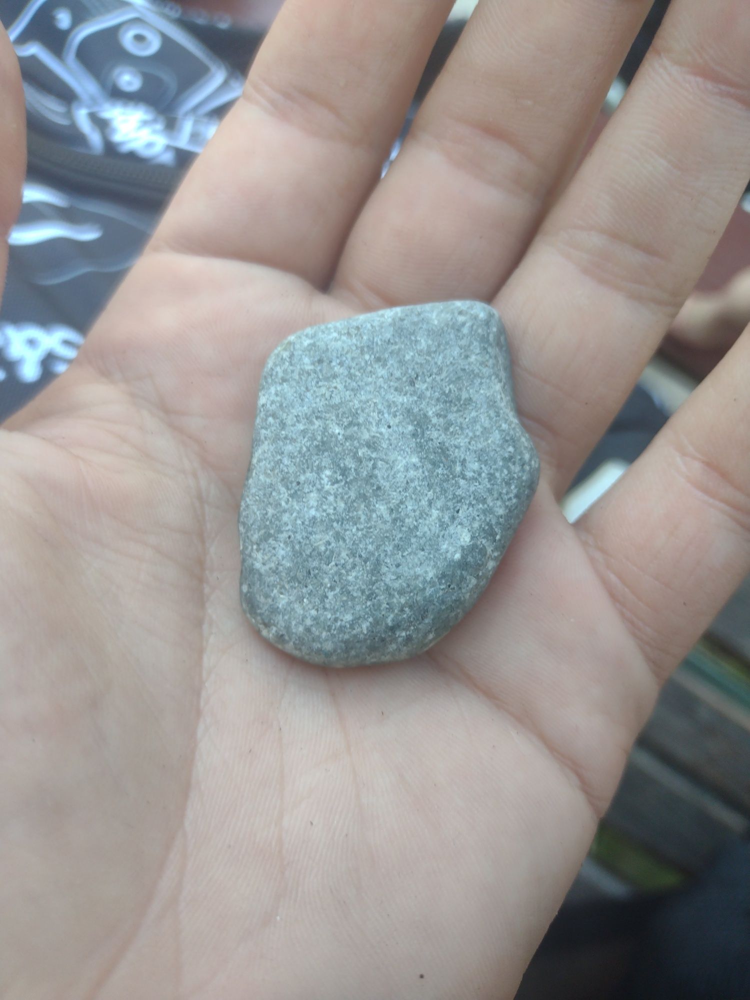 Kamień z ziemi kononowicza