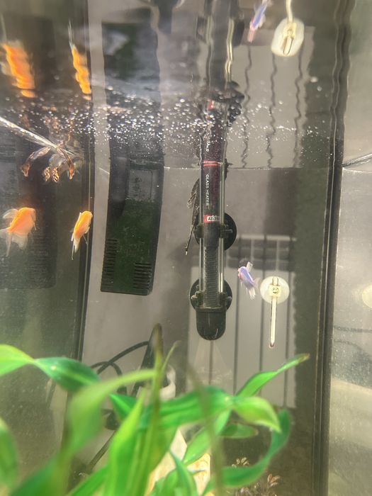 Прямокутний акваріум 35 л з кришкою,світильником