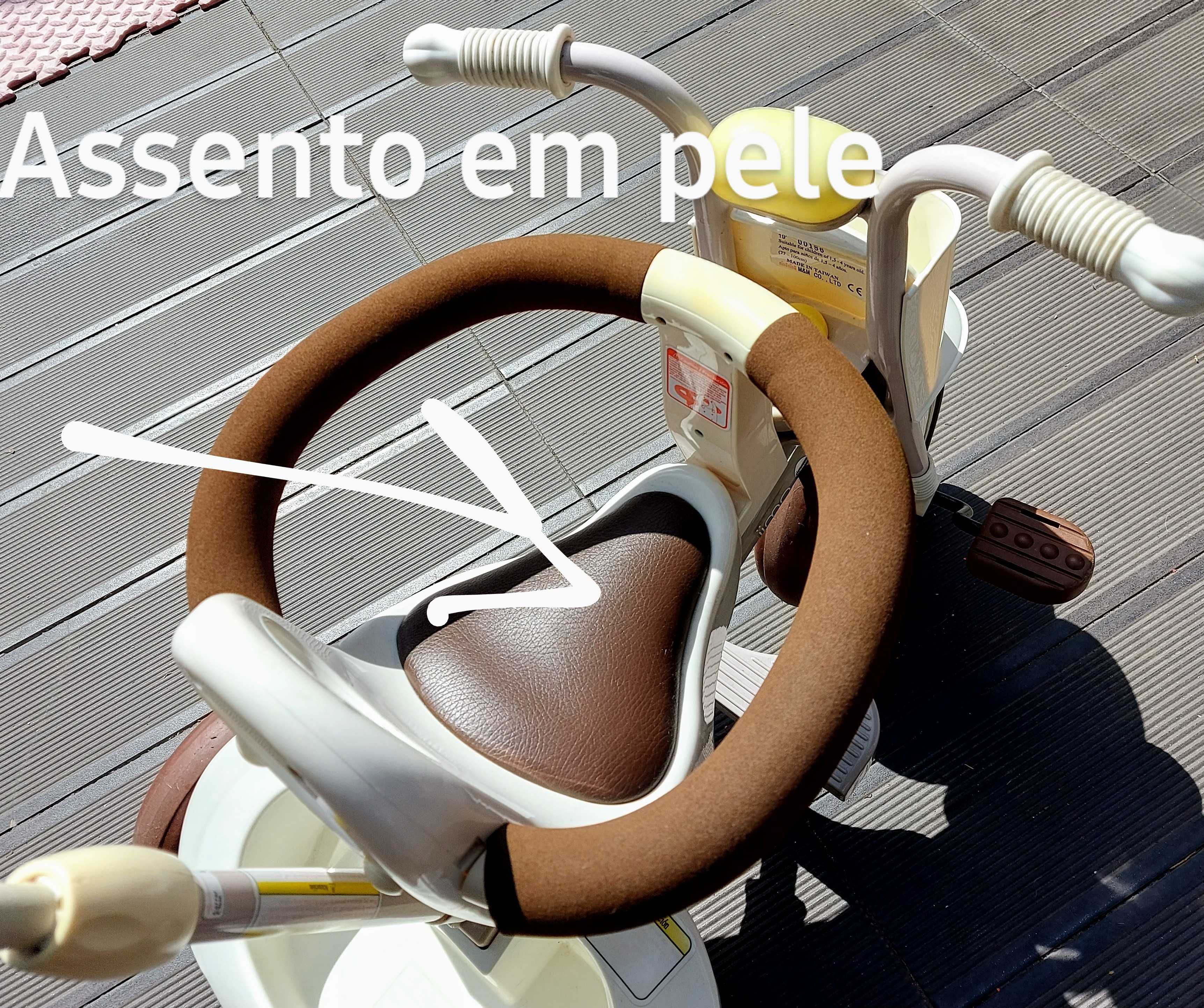 Triciclo com suporte para condução pais