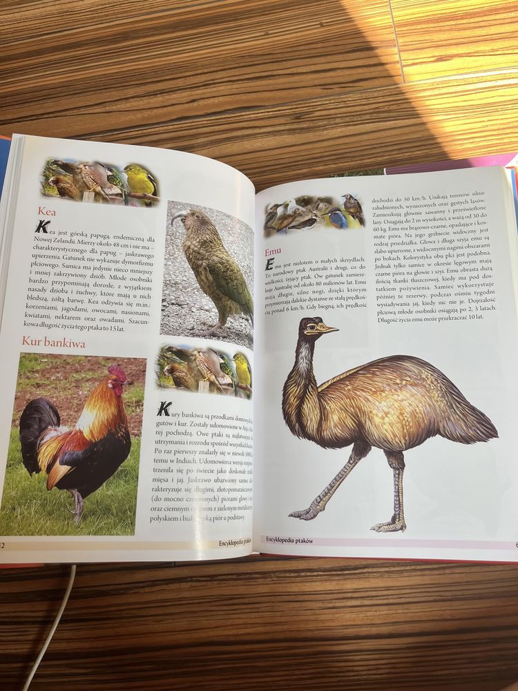 dwie pięknie ilustrowane encyklopedie ptaków JAK NOWE
