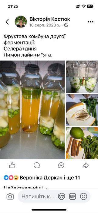 Чайний гриб/комбуча на 1л, 3л банку та на лимонадницю. Домашній квас.