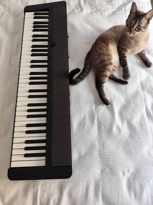 Piano Casio CT-S1 (como novo, na sua caixa)