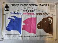 Stary plakat rolniczy o produkcji zwierzęcej lata 70-te  unikat !