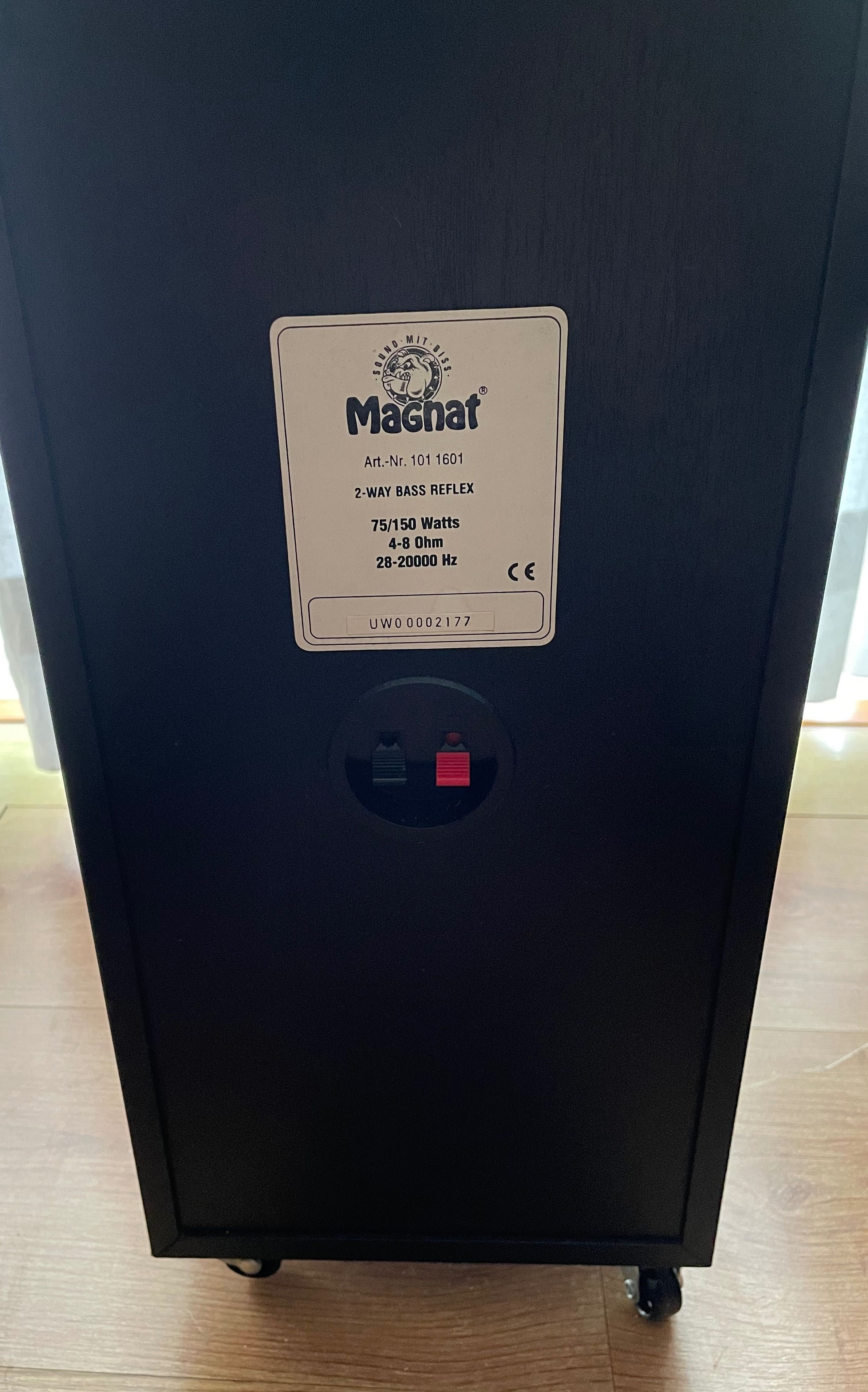 Magnat Colunas de pé 150W Preto Stereo Home Hifi Stream Transpuls