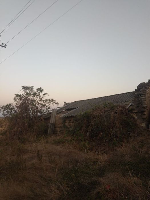 Продамо ділянку 25 соток + сарай