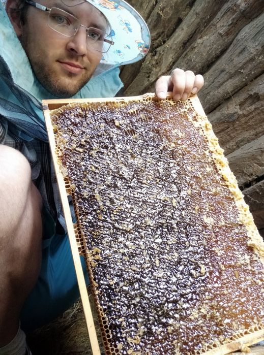 Продам мед, забрус качество 100%