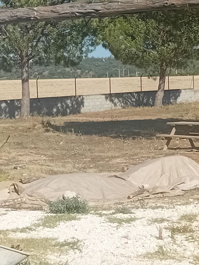 Quinta rustica com 1 hectar