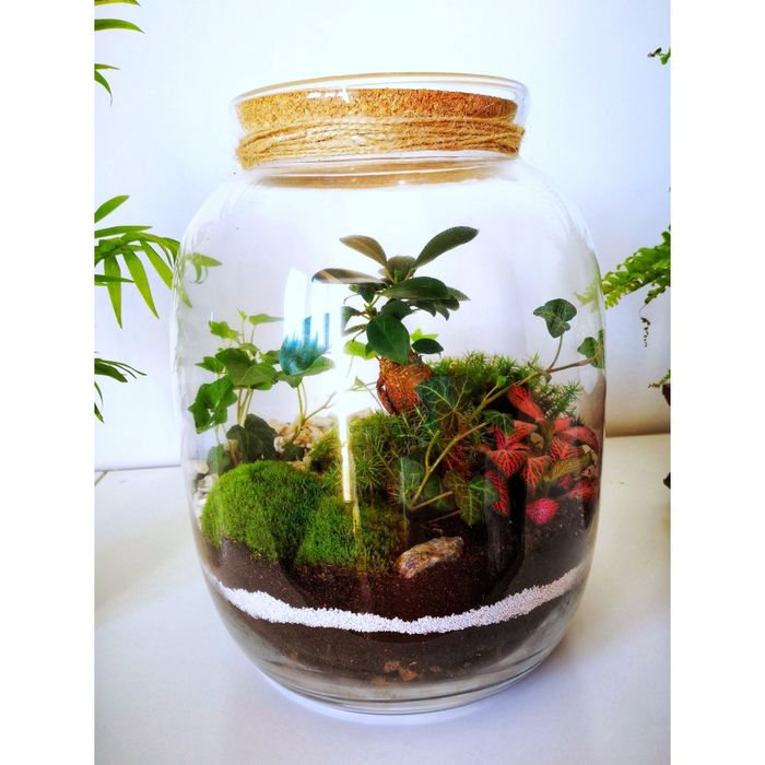 LAS W SŁOIKU - Ogród w szkle -Święta-Idealny na prezent