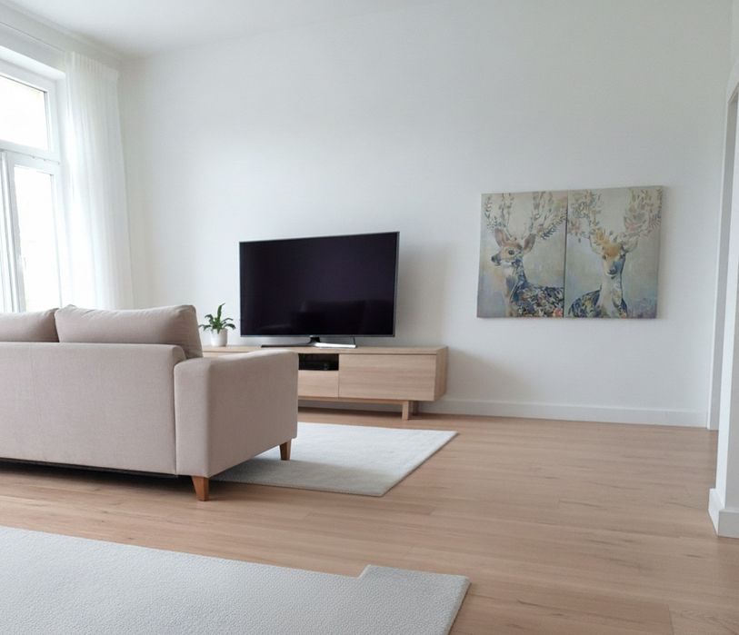 Dois quadros animais IKEA