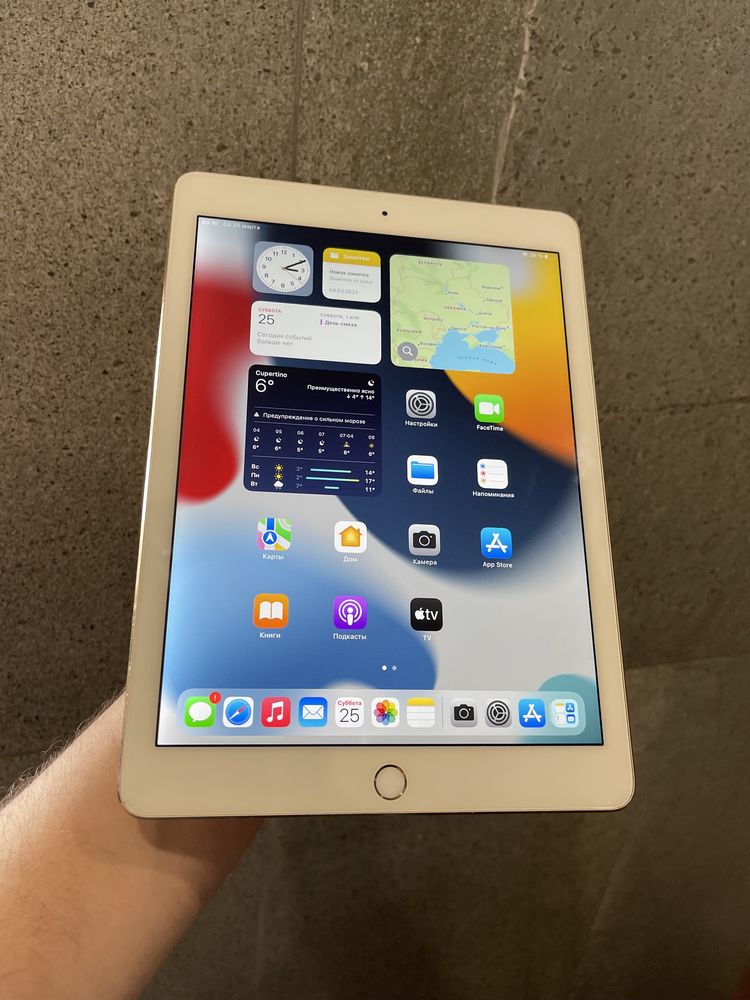 iPad Air 2 16gb Wi-Fi Gold (103)