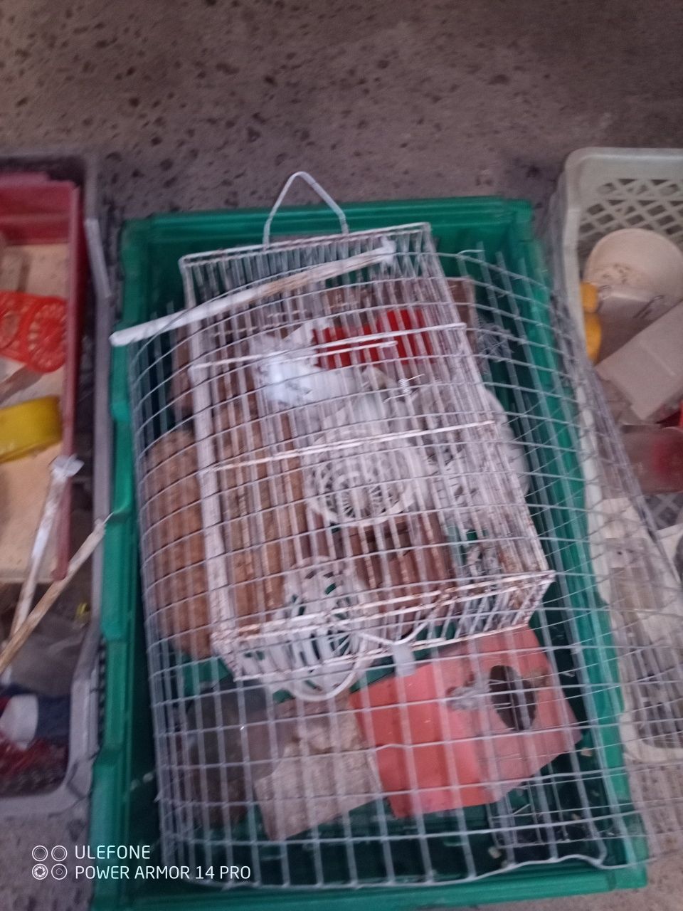 Vendo gaiolas de criação para pássaros