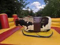 Sprzedam Byka Rodeo
