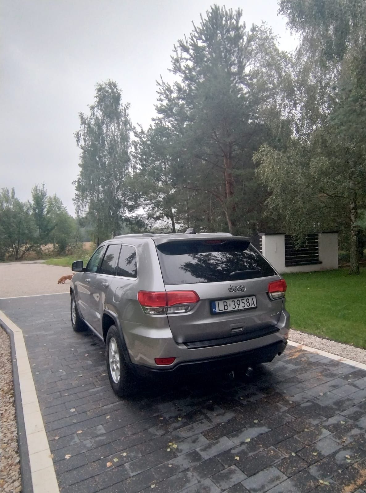 Wk2 Jeep Grand Cherokee