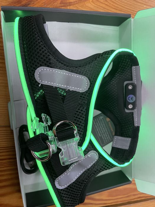 Собачий ошийник з підсвіткою.