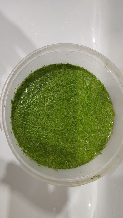 Rzęsa Akwariowa.Kryjówka dla małych Rybek.