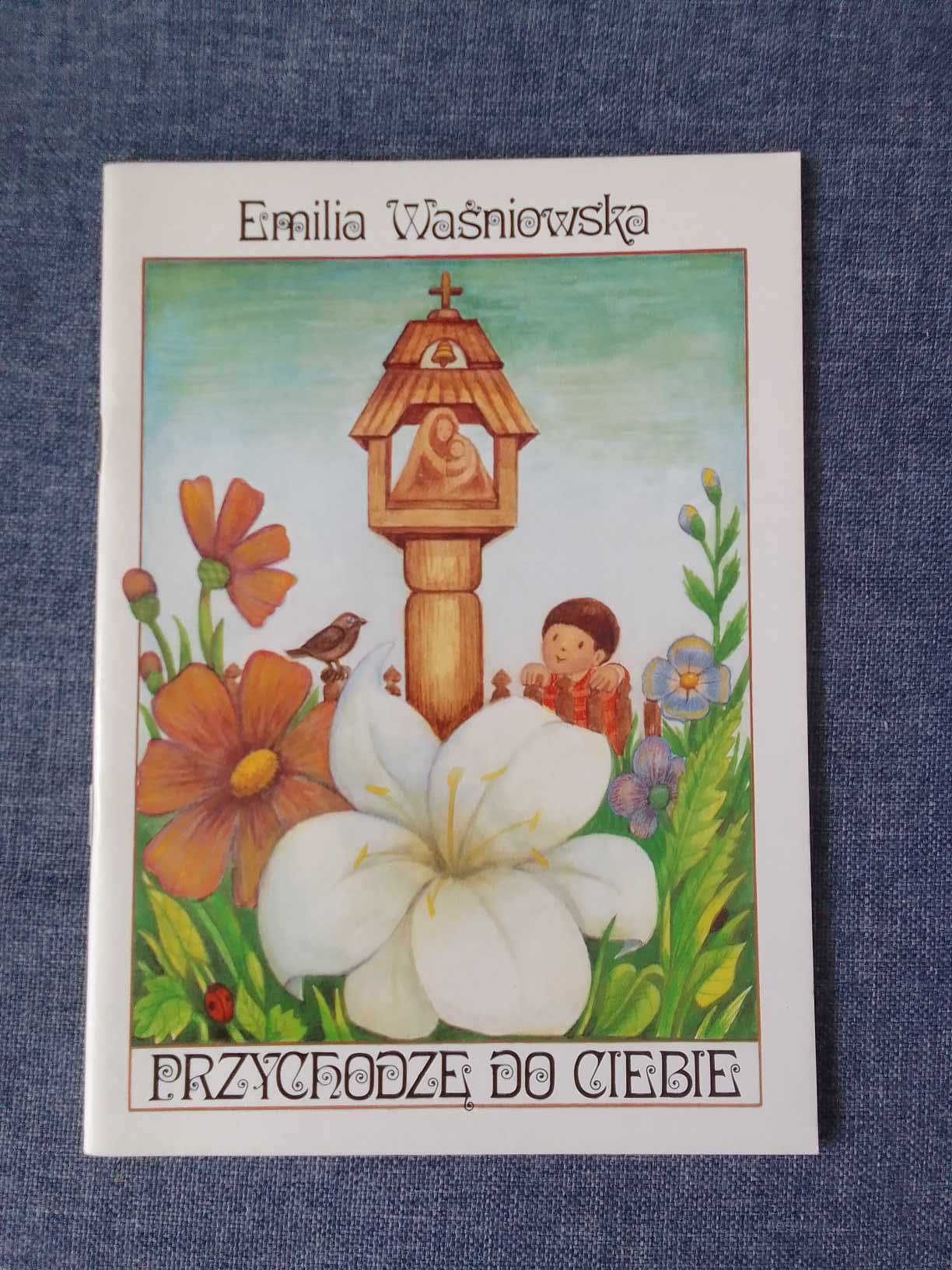 Przychodzę do Ciebie - Emilia Waśniowska