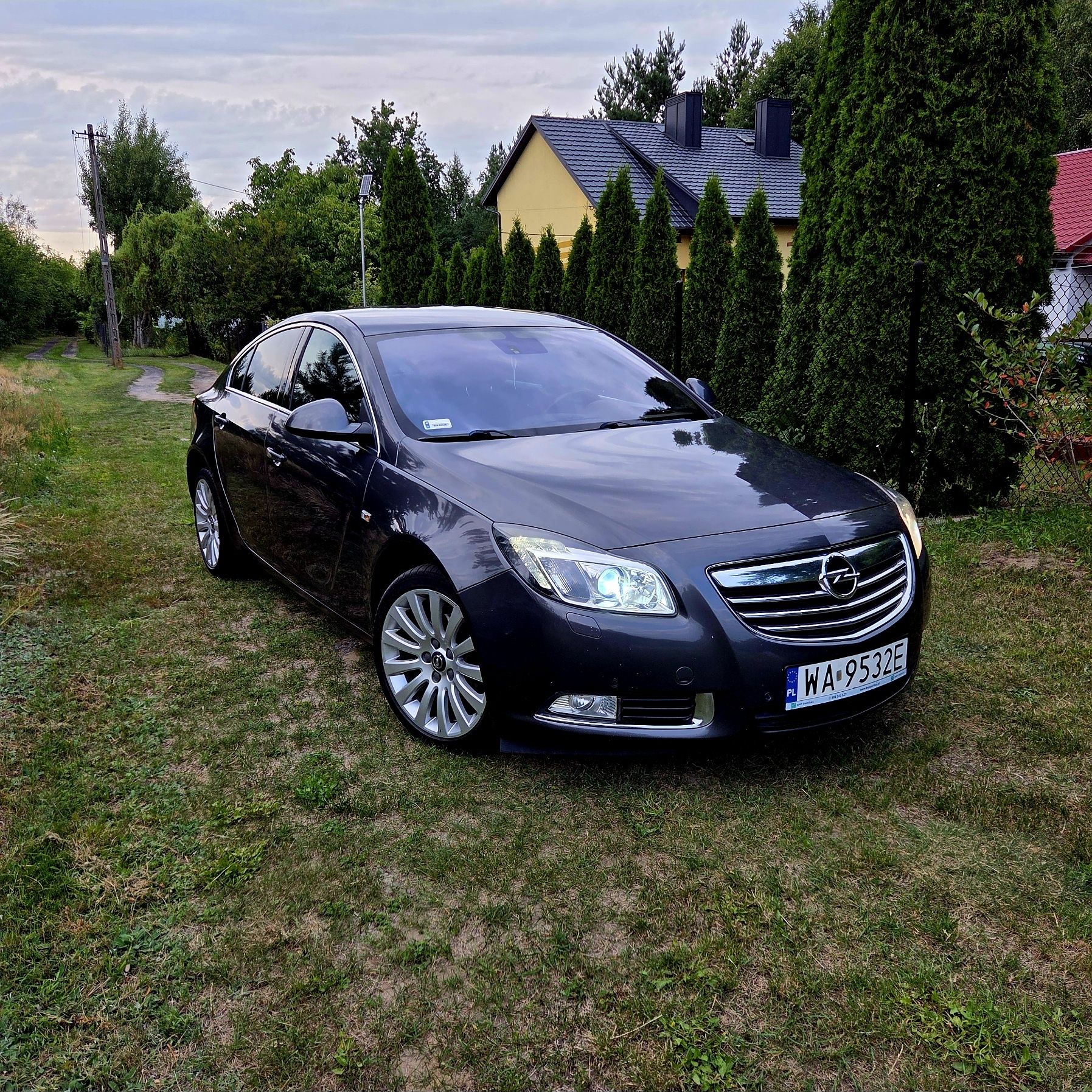 Opel Insignia 2.0 CDTI 160 KM, Salon Polska