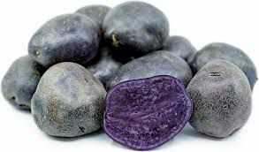 Batatas Pretas pra semear UMA ESPECIALIDADE Adaptado ao nosso clima