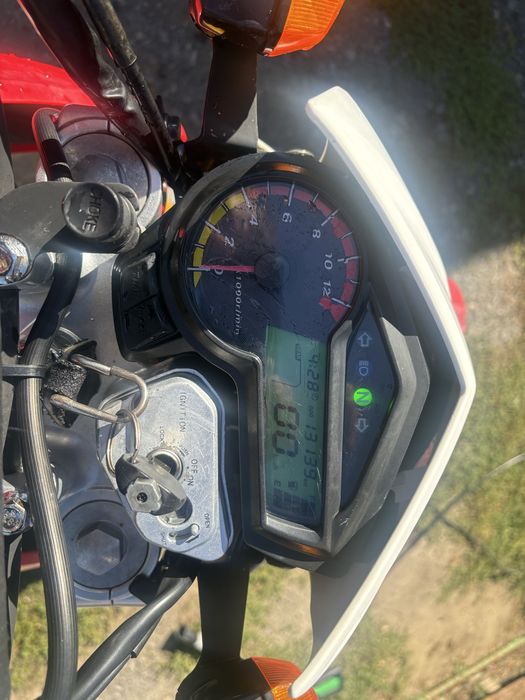 Продам надійного ,живого Geona