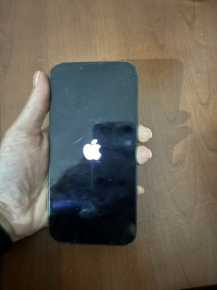 Iphone 13. 1 ano e meio de uso.
