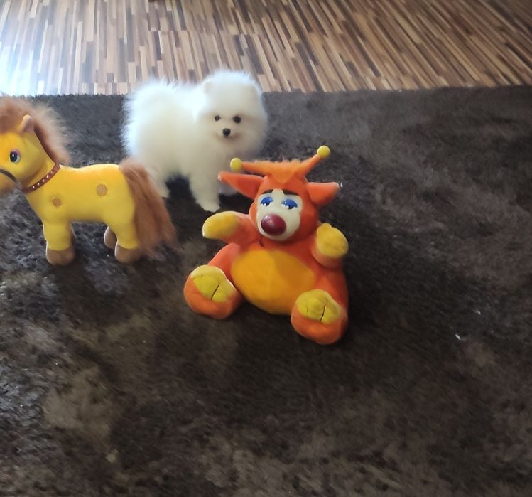 Мальчиш кибальчиш и девчуля  красота