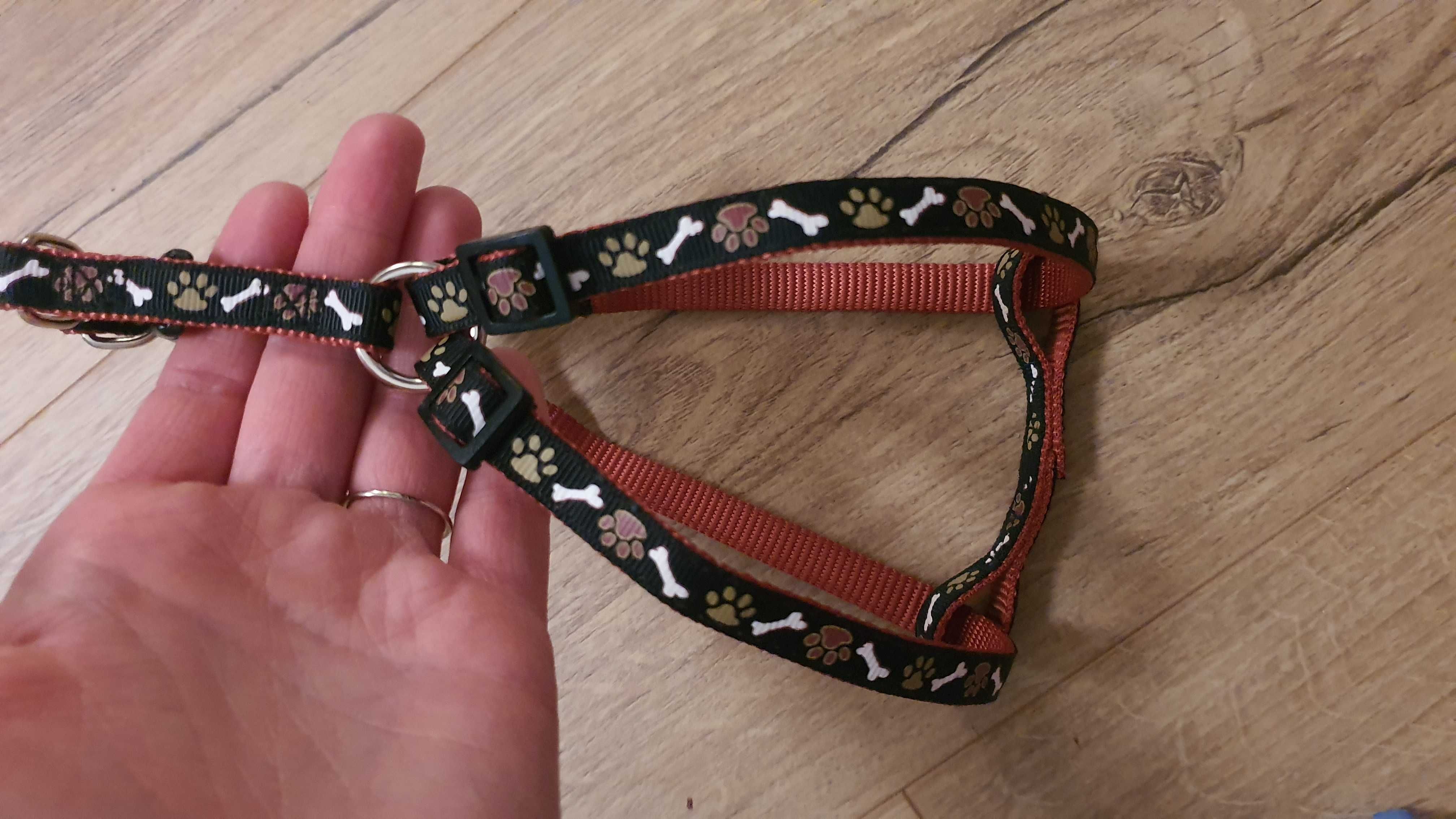 Szelki psa york chihuahua nowe psie łapki
