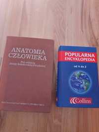 Anatomia człowieka i Encyklopedia popularna