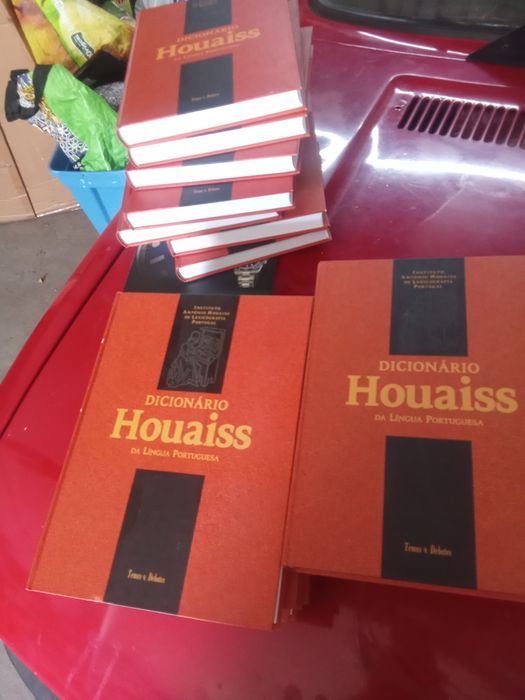 Dicionário Houaiss da língua portuguesa.