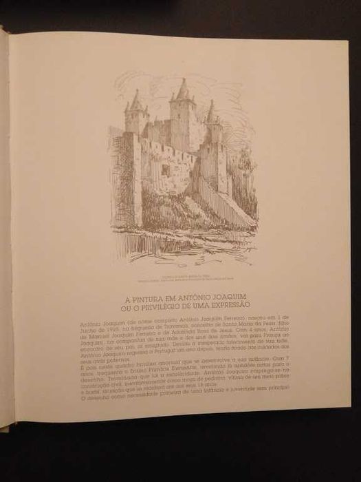 A Pintura em António Joaquim ou o Privilégio de uma Expressão