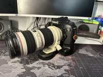 Canon 7D + Canon 70-200 f4
