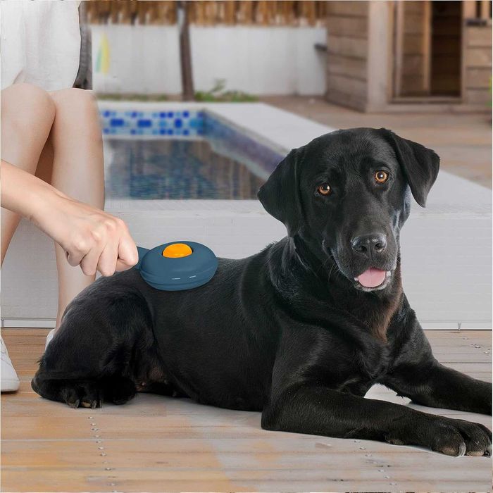 Szczotka dla psów i kotów z krótką sierścią samooczyszczająca