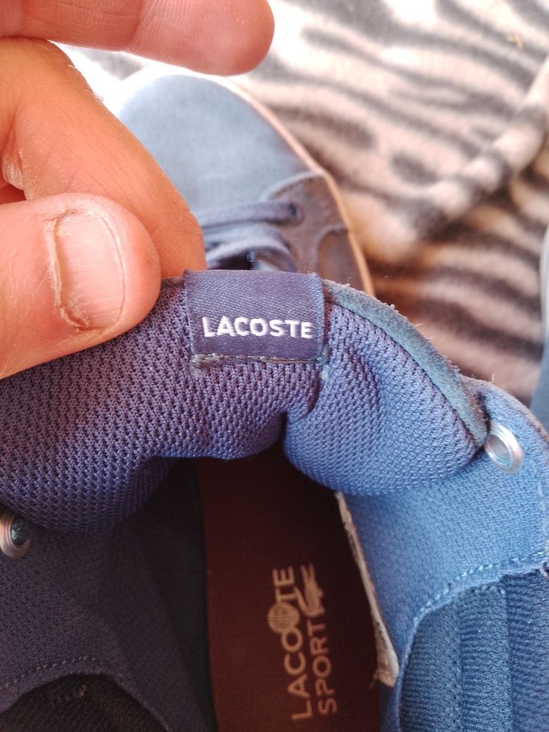 Lacoste buty  markowe