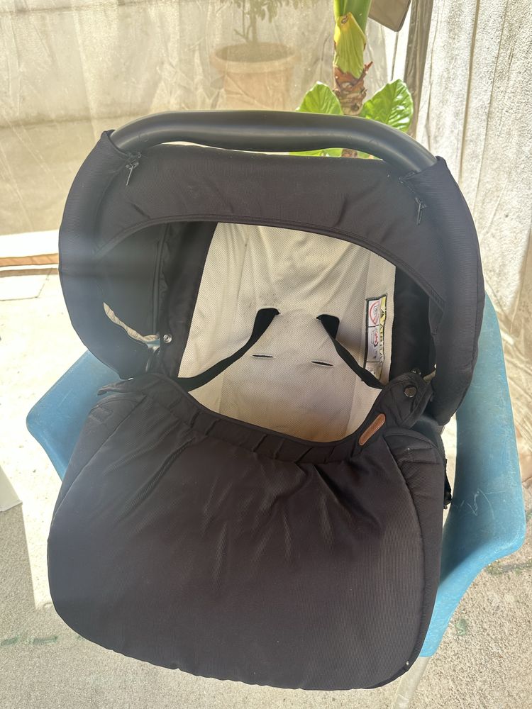 Ovo Pierre Cardin