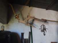Charrua antiga centenária