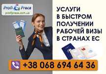 Рабочая виза и легализация в Германии