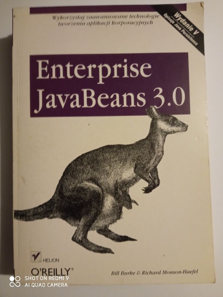 Enterprise JavaBeans 3.0