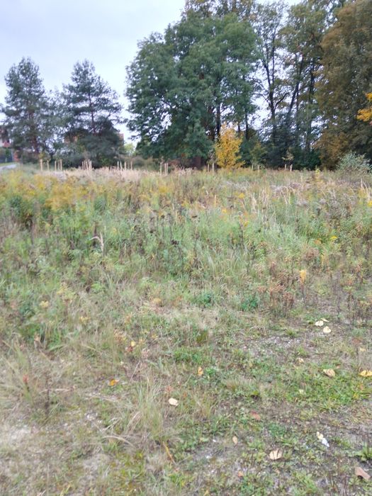 Sprzedam działkę budowlaną