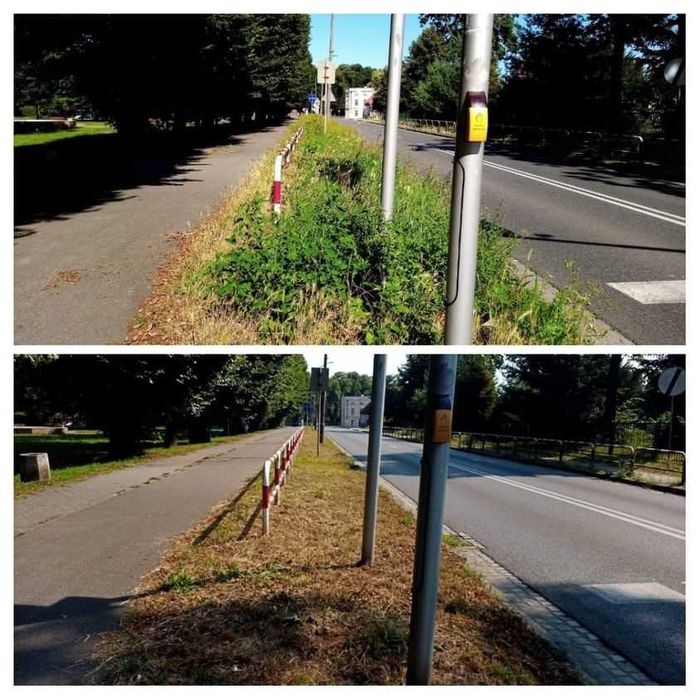 Glebogryzarka separacyjna wykaszanie porządkowanie działek frezowanie