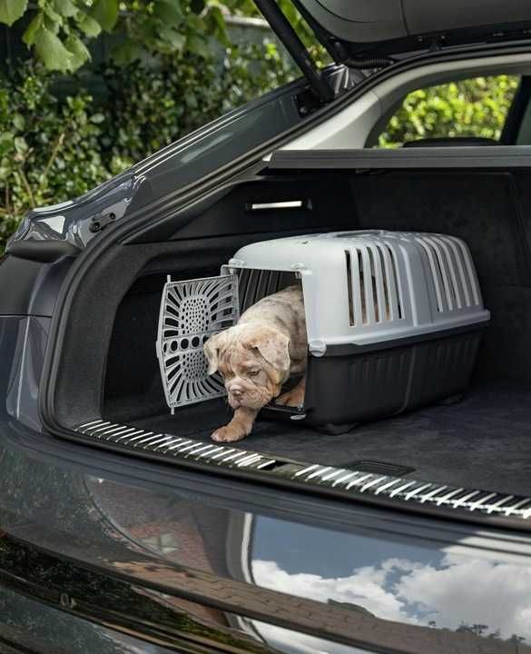 Transporter dla małych zwierząt psa kota   55x 36x36cm