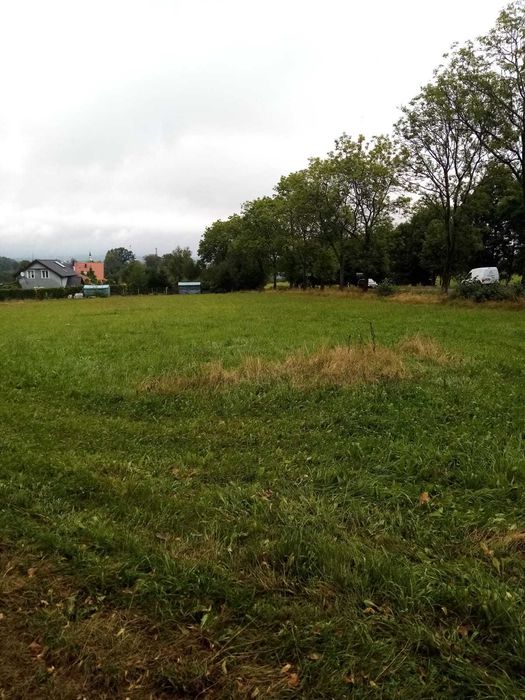 Sprzedam działkę rolną – 17 500 m² – Wieża k. Gryfowa Śl.