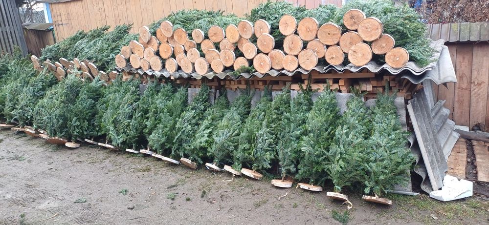 Ялинки- мотанки оптом