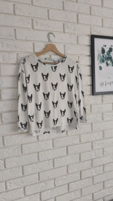 Sweter sweterek dziewczęcy H&M 146 152 młodzieżowy biały buldogi psy