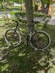 Rower ostre koło Cheetach 3.0 (single speed, fixed gest, szosa)