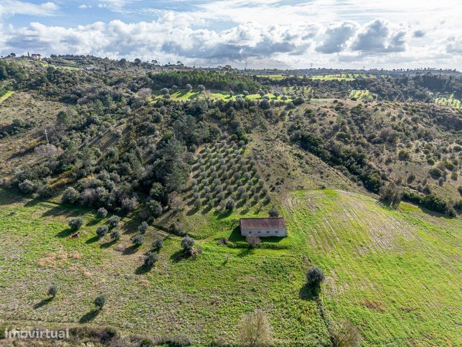Terreno com Barracão Agrícola