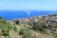 Terreno Misto com 6180 m2 em Gaula - Ilha da Madeira