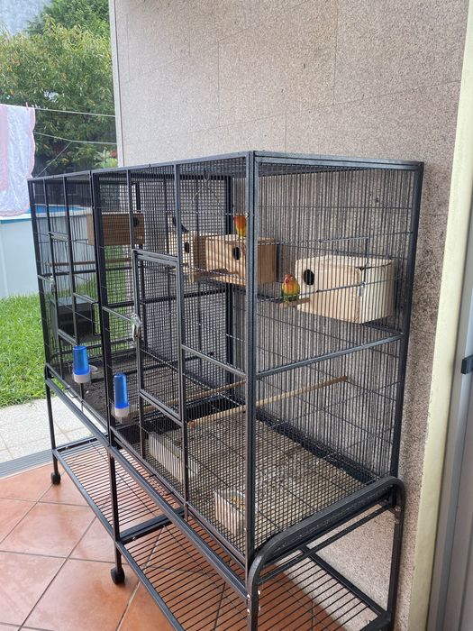 Viveiro para aves exóticas