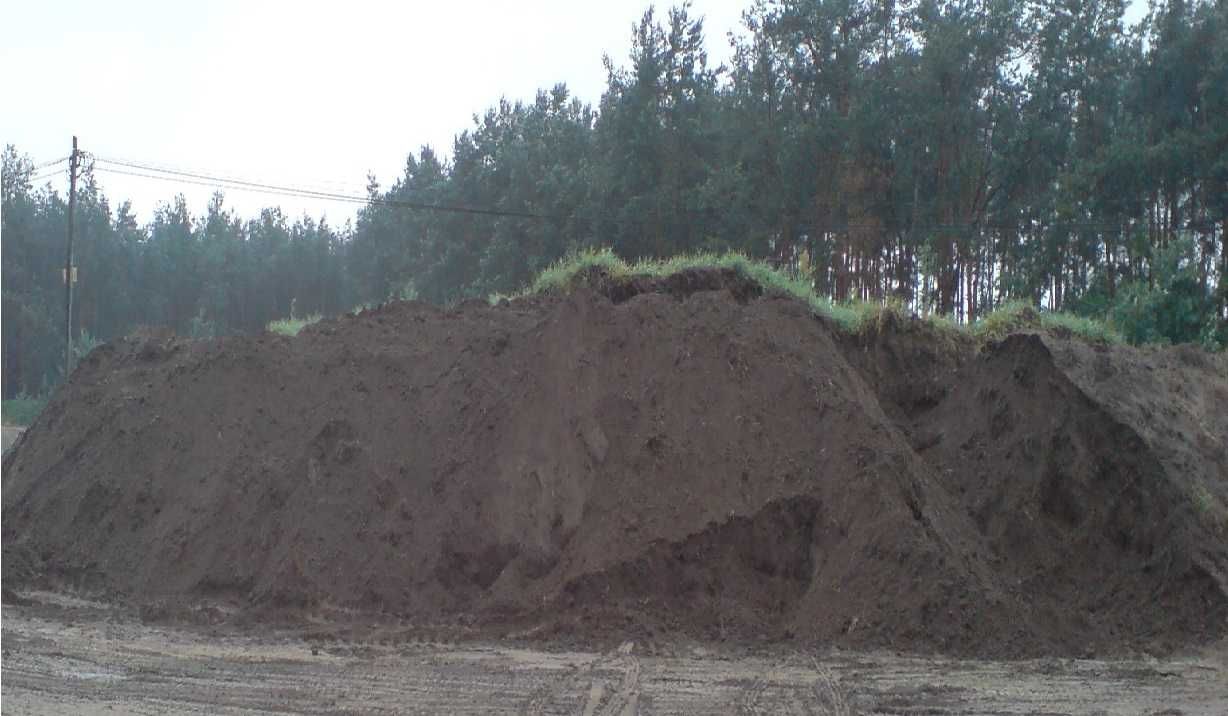 Humus czarnoziem sprzedaż transport