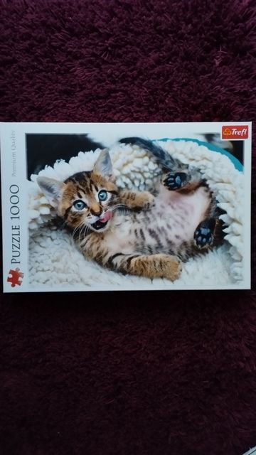 Puzzle wesoły kotek 1000 elementów